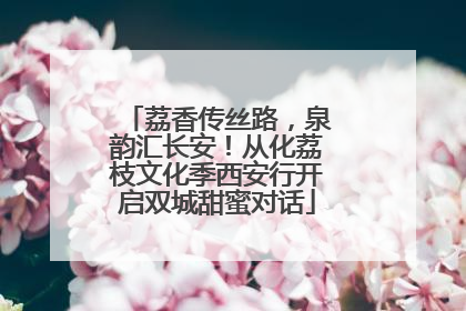 荔香传丝路，泉韵汇长安！从化荔枝文化季西安行开启双城甜蜜对话