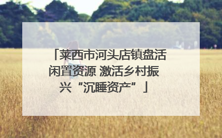莱西市河头店镇盘活闲置资源 激活乡村振兴“沉睡资产”