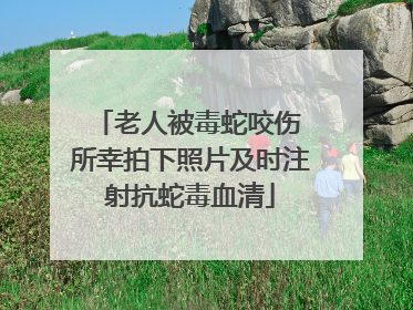 老人被毒蛇咬伤 所幸拍下照片及时注射抗蛇毒血清