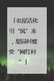 老屋活化引“凤”来，梨园村蝶变“网红村”