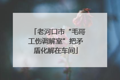 老河口市“毛哥工伤调解室”把矛盾化解在车间