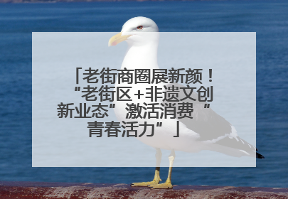 老街商圈展新颜！“老街区+非遗文创新业态”激活消费“青春活力”
