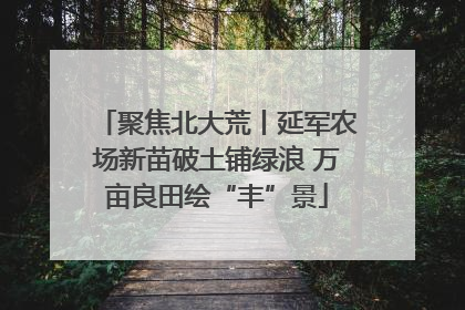 聚焦北大荒丨延军农场新苗破土铺绿浪 万亩良田绘“丰”景