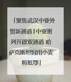 聚焦武汉中亚外贸新通道│中亚班列开辟双通道 哈萨克斯坦饲用小麦将抵鄂