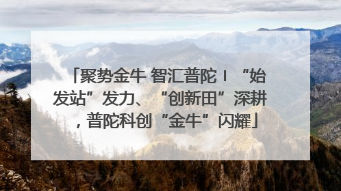 聚势金牛 智汇普陀〡“始发站”发力、“创新田”深耕，普陀科创“金牛”闪耀