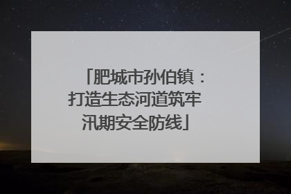 肥城市孙伯镇：打造生态河道筑牢汛期安全防线