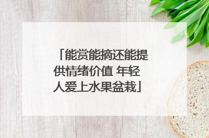 能赏能摘还能提供情绪价值 年轻人爱上水果盆栽