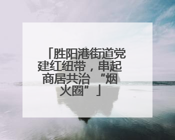 胜阳港街道党建红纽带，串起商居共治 “烟火圈”