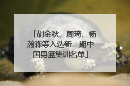胡金秋、周琦、杨瀚森等入选新一期中国男篮集训名单