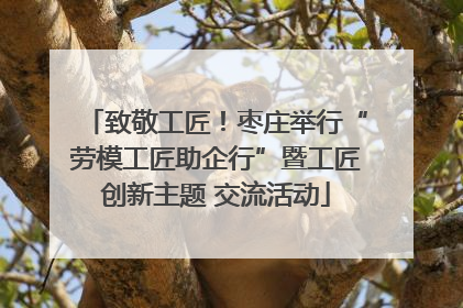 致敬工匠！枣庄举行“劳模工匠助企行”暨工匠创新主题 交流活动