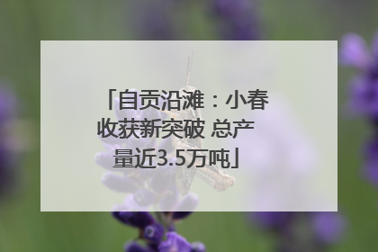 自贡沿滩：小春收获新突破 总产量近3.5万吨