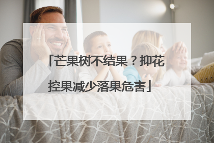 芒果树不结果？抑花控果减少落果危害