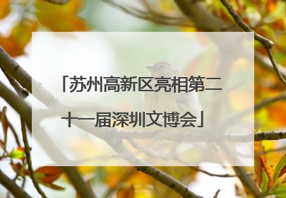 苏州高新区亮相第二十一届深圳文博会