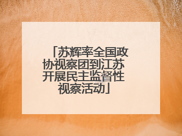 苏辉率全国政协视察团到江苏开展民主监督性视察活动
