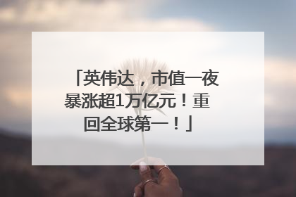 英伟达，市值一夜暴涨超1万亿元！重回全球第一！