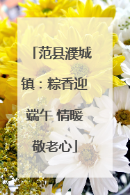 范县濮城镇：粽香迎端午 情暖敬老心