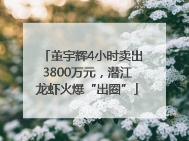 董宇辉4小时卖出3800万元，潜江龙虾火爆“出圈”