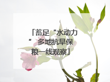 蓄足“水动力” 多地抗旱保粮一线观察
