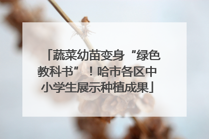 蔬菜幼苗变身“绿色教科书”！哈市各区中小学生展示种植成果