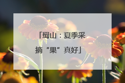 蜀山：夏季采摘“果”真好
