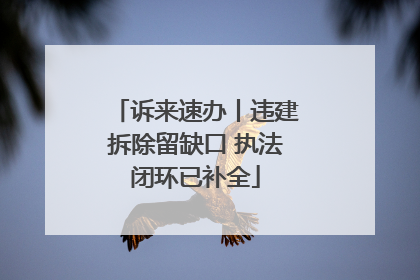 诉来速办丨违建拆除留缺口 执法闭环已补全
