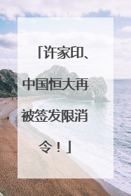 许家印、中国恒大再被签发限消令！