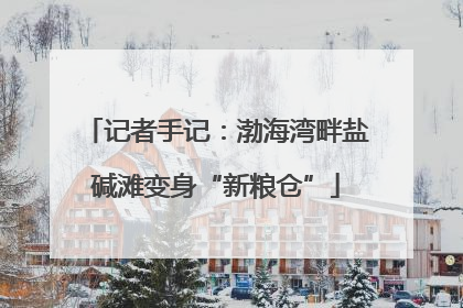 记者手记：渤海湾畔盐碱滩变身“新粮仓”