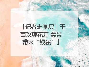 记者走基层｜千亩玫瑰花开 美景带来“钱景”
