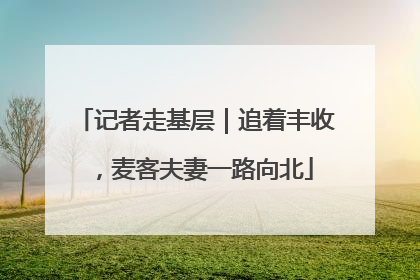 记者走基层｜追着丰收，麦客夫妻一路向北