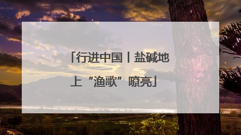 行进中国丨盐碱地上“渔歌”嘹亮