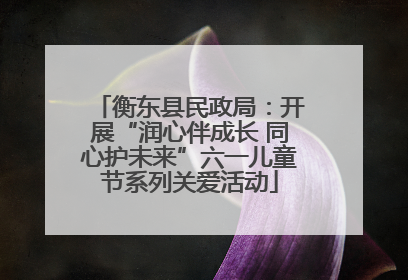 衡东县民政局：开展“润心伴成长 同心护未来”六一儿童节系列关爱活动