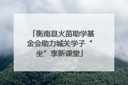衡南县火苗助学基金会助力城关学子“坐”享新课堂