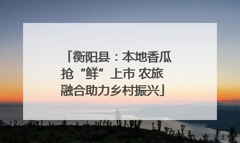 衡阳县：本地香瓜抢“鲜”上市 农旅融合助力乡村振兴