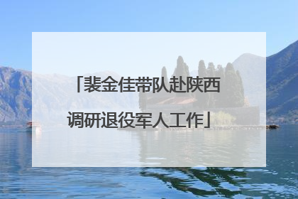 裴金佳带队赴陕西调研退役军人工作