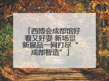 西博会成都馆好看又好耍 新场景新展品一网打尽“成都智造”