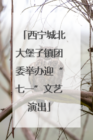 西宁城北大堡子镇团委举办迎“七一”文艺演出