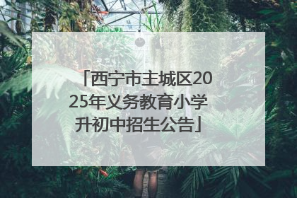 西宁市主城区2025年义务教育小学升初中招生公告