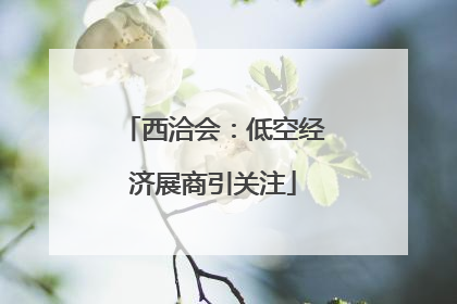 西洽会：低空经济展商引关注