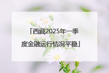 西藏2025年一季度金融运行情况平稳