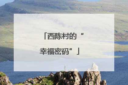 西陈村的“幸福密码”