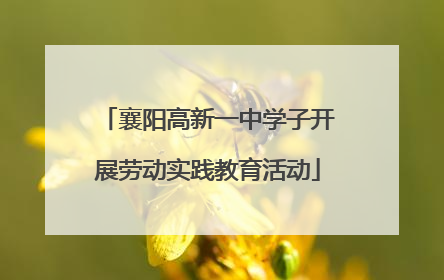 襄阳高新一中学子开展劳动实践教育活动