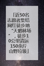 近50名志愿者集结网红徒步地“天鹅林场”，徒步10公里清运150余斤山野垃圾