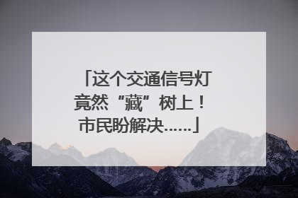 这个交通信号灯竟然“藏”树上！市民盼解决……