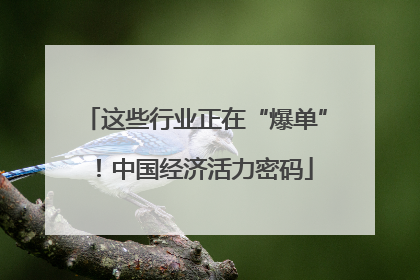 这些行业正在“爆单”！中国经济活力密码