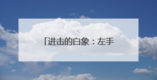 进击的白象：左手爆品，右手经销商