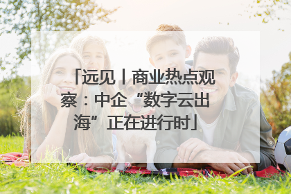 远见丨商业热点观察：中企“数字云出海”正在进行时