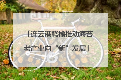 连云港赣榆推动海苔老产业向“新”发展