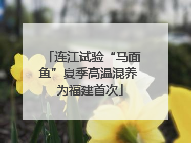 连江试验“马面鱼”夏季高温混养 为福建首次