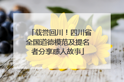 载誉回川！四川省全国道德模范及提名者分享感人故事