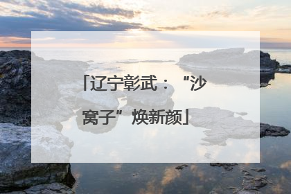 辽宁彰武：“沙窝子”焕新颜